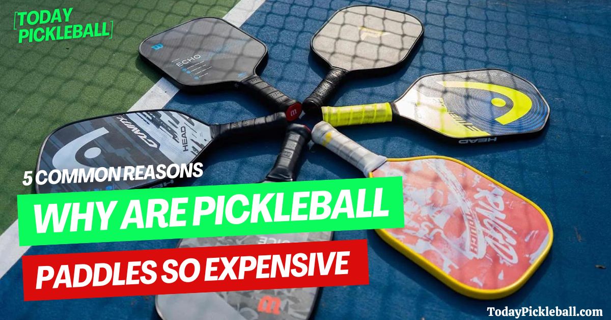Why Are Pickleball paddles so expensive